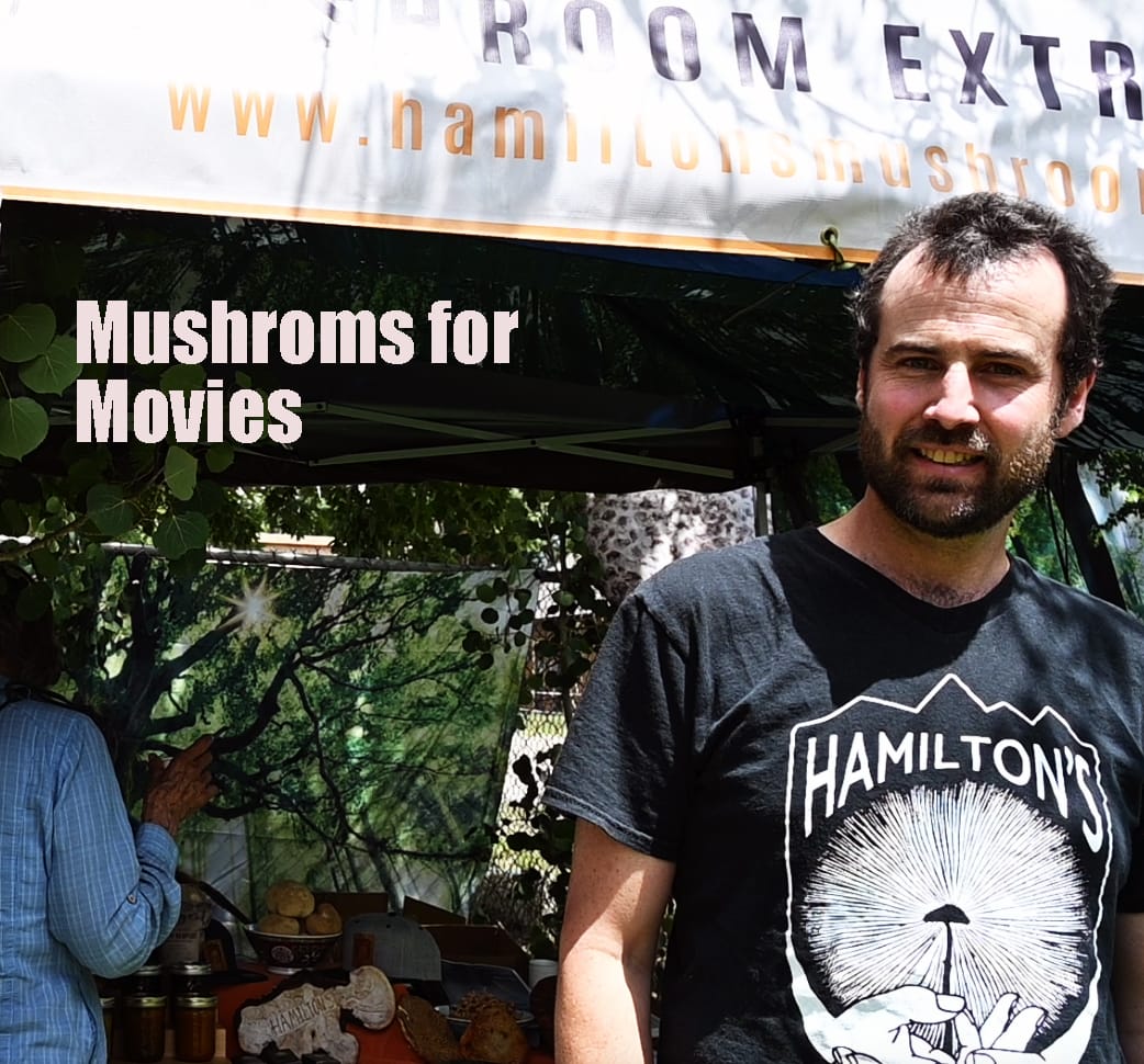 Mushrooms for Movies - SICA-USA